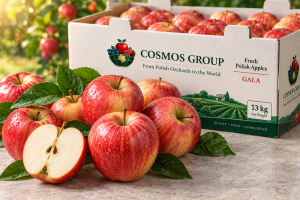 Apples