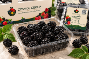 Blackberries