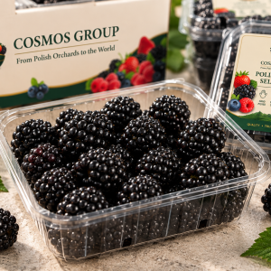 Blackberries