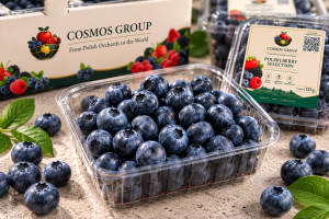 Blueberries