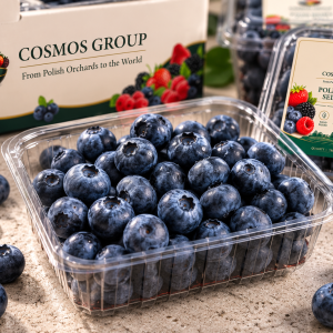 Blueberries