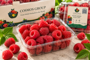 Raspberries