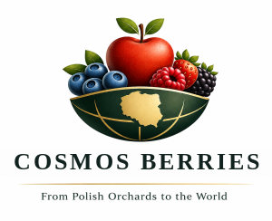 Cosmos Group