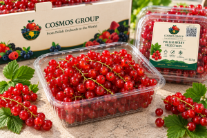 Red currant